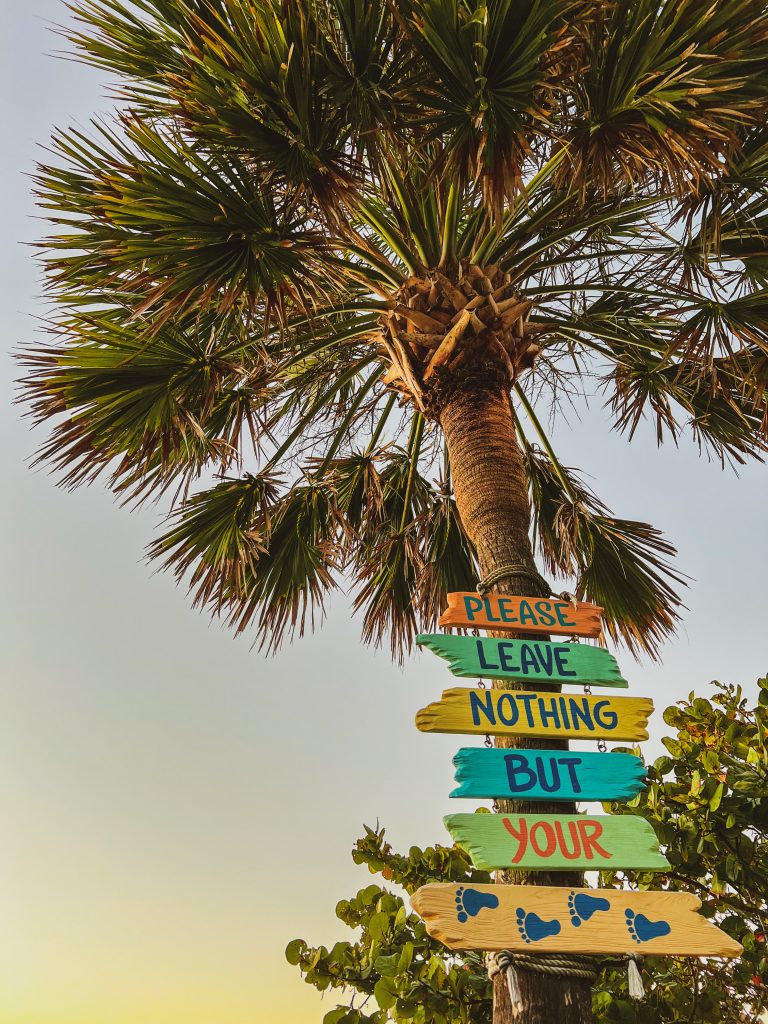 9B2E4C51-3501-478F-9BBF-645BD8AB0F40_L0_001-10_10_2023, 7_48_42 PM (1)